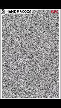 The Best app
