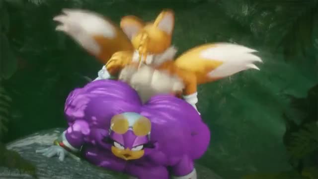 Wave’s Wave Butt