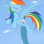 Post 1226805: FriendshipisMagic MyLittlePony Nekome RainbowDash