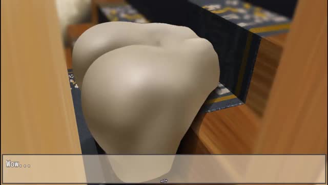 A Silent Statue (H-scenes)
