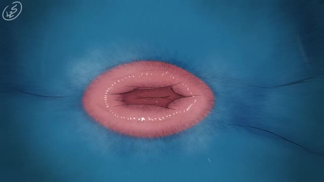 Anal vore by lazy sunshine