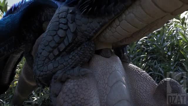 Blue winged fucks reptile