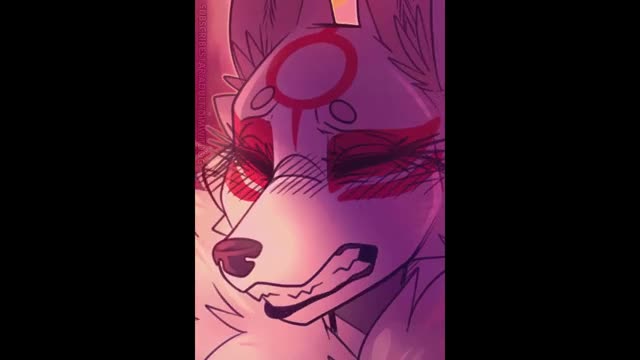 Dimwitdog compilation