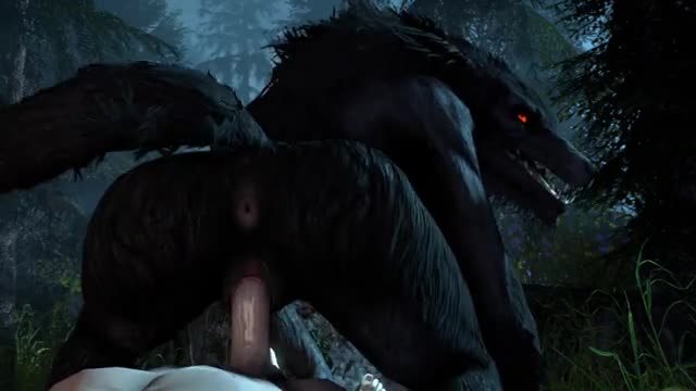 Feral Wifwolf in heat『AlphaWolf77』