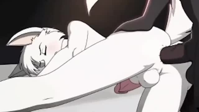 Furry Porn Compilation