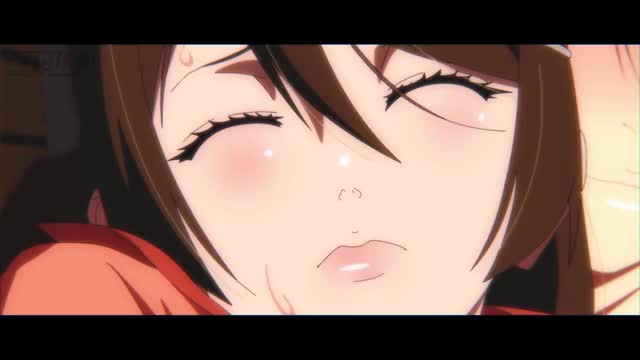 INTERNETOGATARI: NipuruStudio dublado ptbr