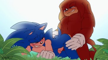 Knuckles fucking Sonic From Behind