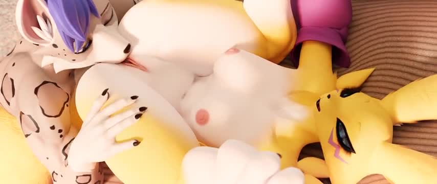 Sex Couch