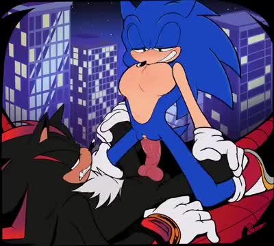 Sonic and Shadow [shaddycatz]