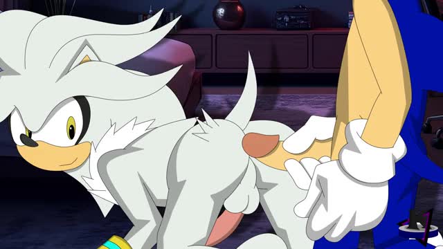 Sonic x Silver