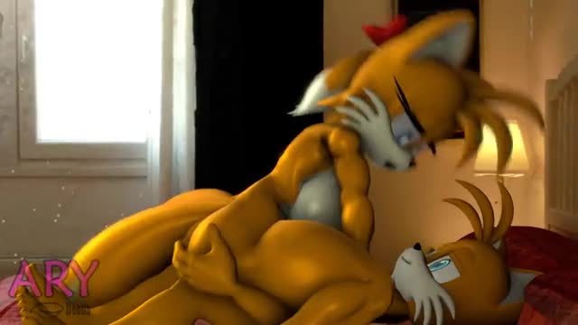 Tails x Tailsko