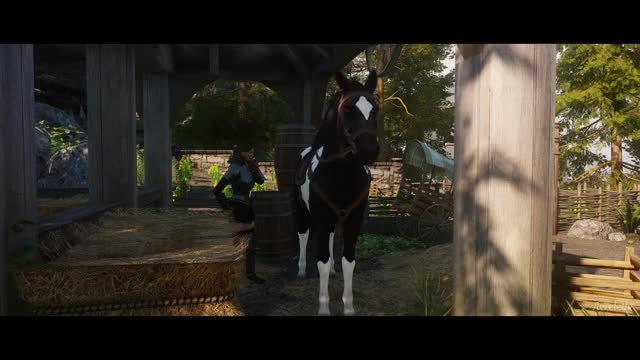 The New Stable Girl