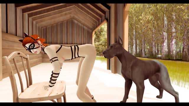 V.E.N.U.S. – Can Cats and Dogs be Friends?