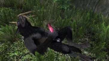 Werewolf on Wolf