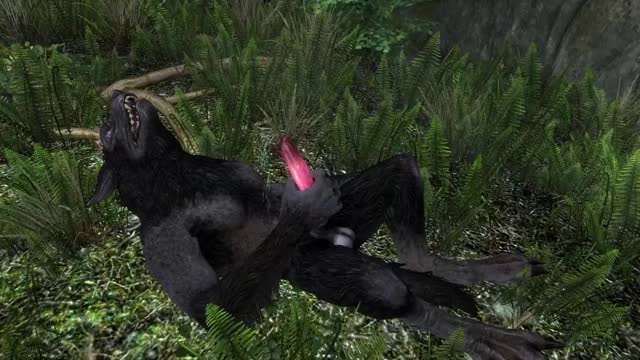 Werewolf on Wolf