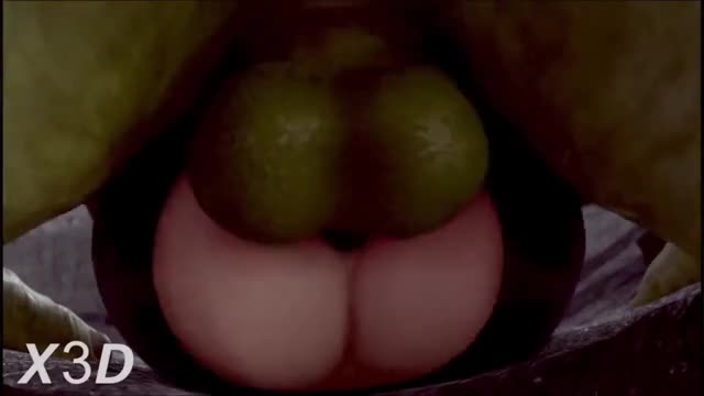 X3D Compilation