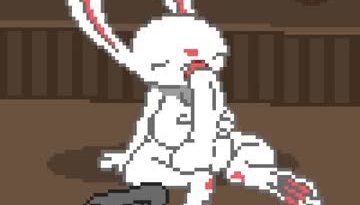Bunny behind