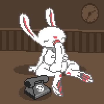 Bunny behind