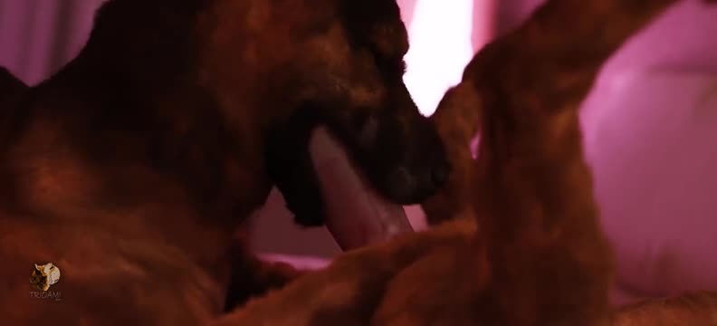 Doggie found the second one