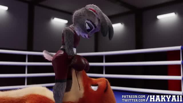 Fucking In The Ring – Hakya11
