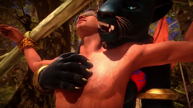 Feline Fantasy