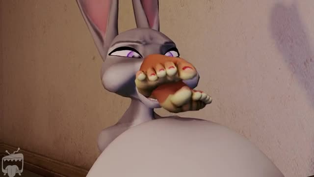 Judy’s solo project by heymanand