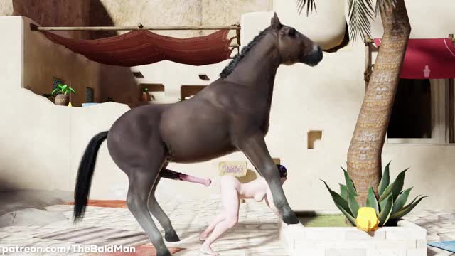 Proxima With Her Horse