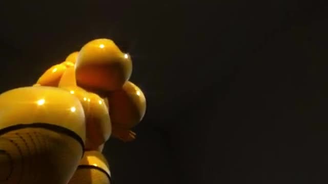 Chunky Chica’s Performance (Clean)