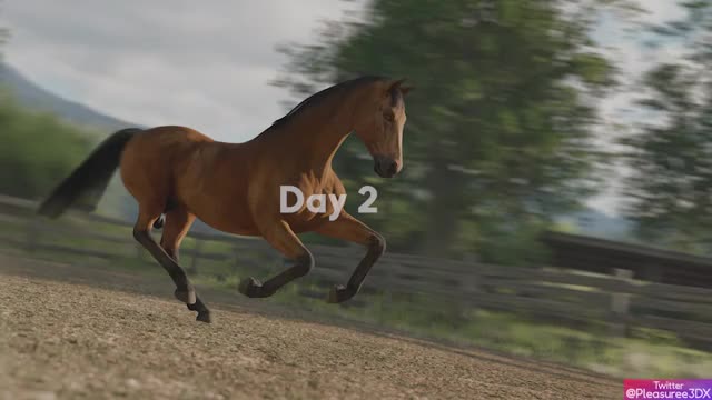 Emily’s Diary – Episode 20