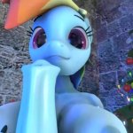 Rainbow dash self blowjob mlp futa porn