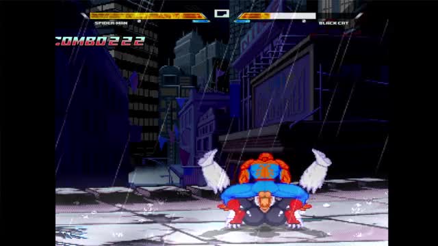 Spider and Black Cat Fight in New York