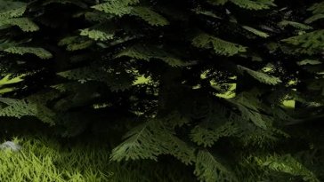 Among The Forest [Arathyn3D]