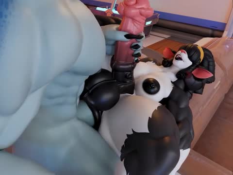 Goat futa horsecock handjob + anal