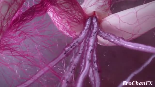 Atou tentacled and egged