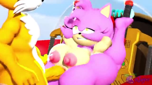 Tails and Amy In Air Flyer
