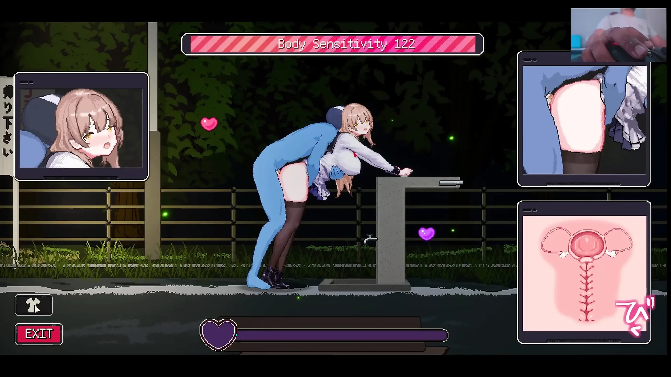 Video game hentai