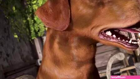 Doggy Comes To Play While Her Hubby Is Away (4K)