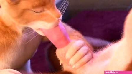 Furry sex 2