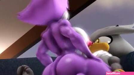 Silver and Blaze stroll in the gym