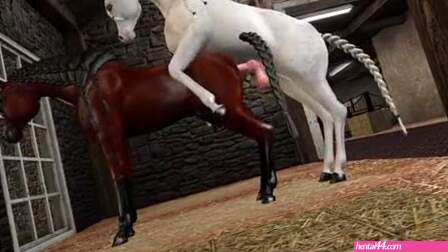 An Arabian stallion mating with an Arabian mare