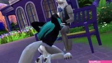 An friendly hangout at the park????