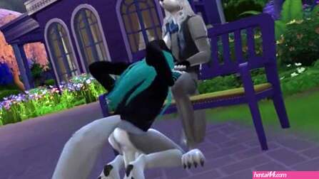 An friendly hangout at the park????