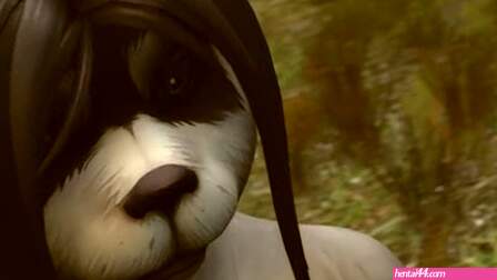 Asriren panda fart