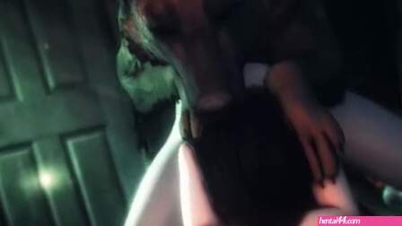 犬 | HMV/PMV