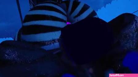 Having some Zebra fun