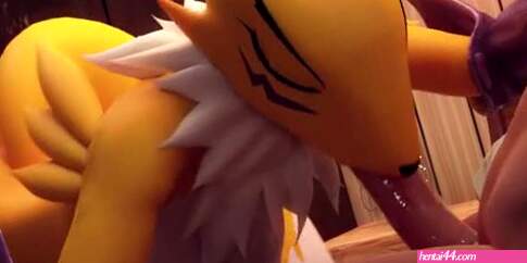 Renamon Blowjob Pov