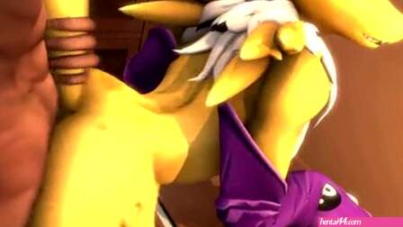 Renamon Doggystyle Pov