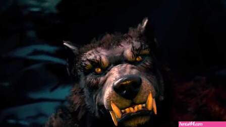 Werewolf Blowjob Pov