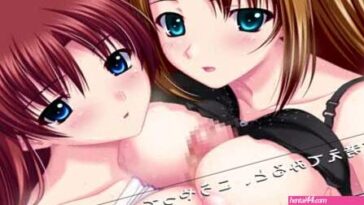 VN AneDeath Harem